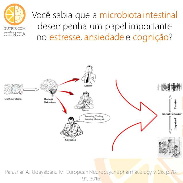 Microbiota e Cérebro