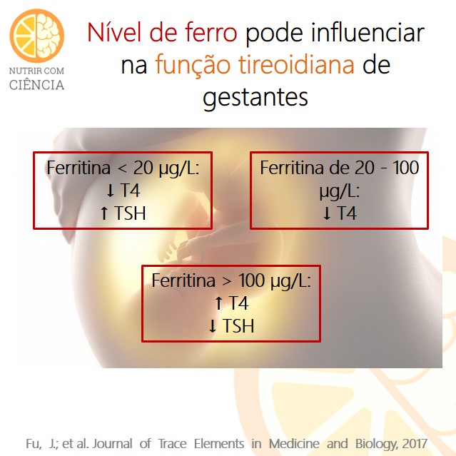 Ferro e Tireoide