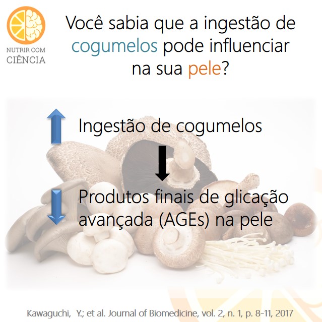 Post 81 - cogumelo e pele site