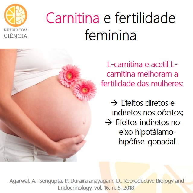 Carnitina e fertilidade