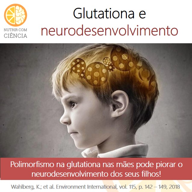 Post 182 - glutationa e neurodesenvolvimento site