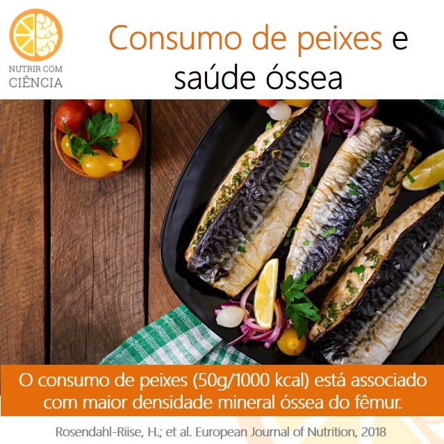 Peixe e osso