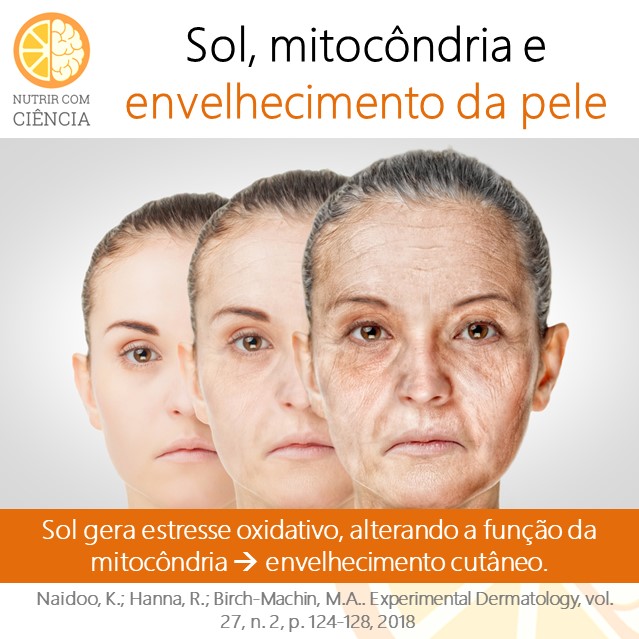 Sol, mitocôndria e pele