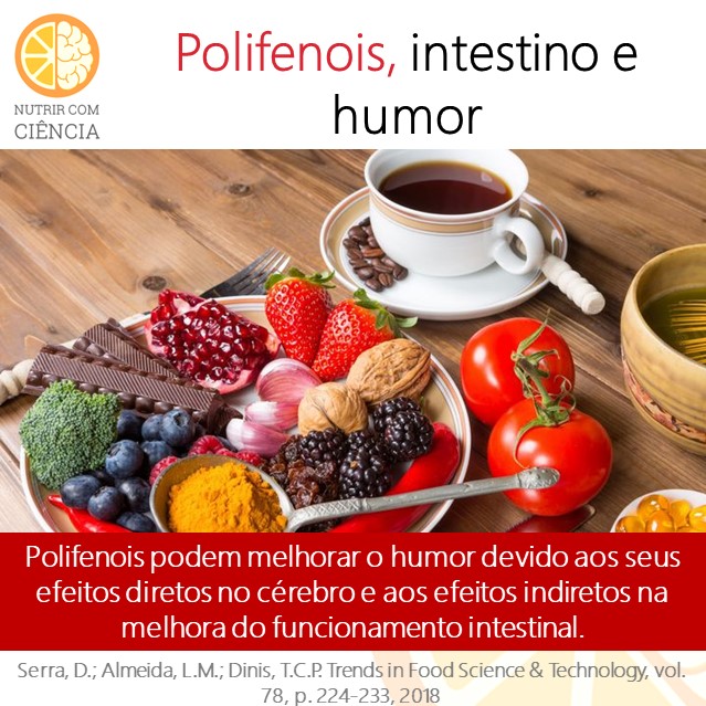 Polifenois, intestino e humor