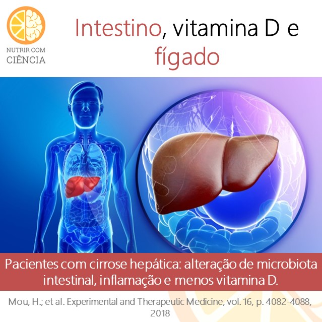 Post 239 - figado, intestino site