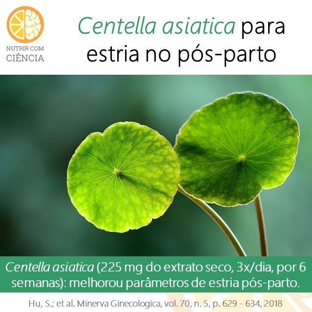 Centella asiatica e estria