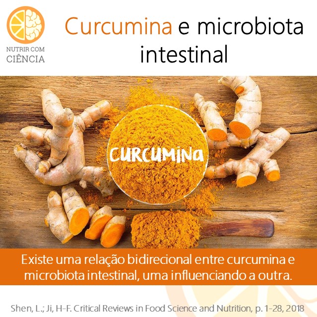 Curcumina e intestino