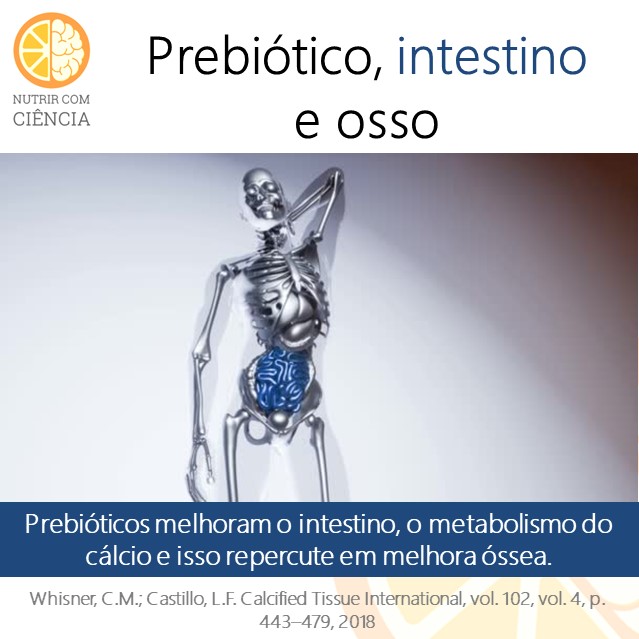 Post 246 - prebiotico e osso site