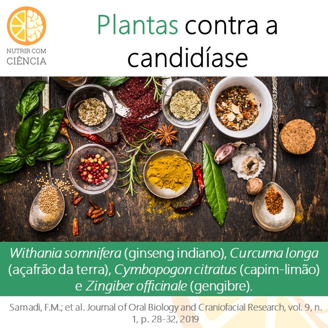 Plantas contra candidíase