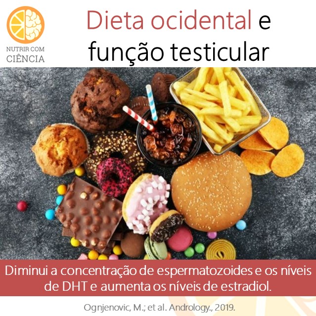 Dieta ocidental e testículo