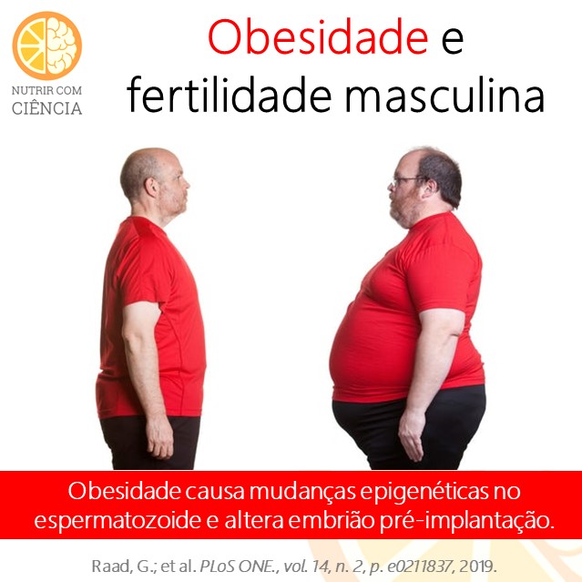 Post 315 - obesidade e fertilidade site