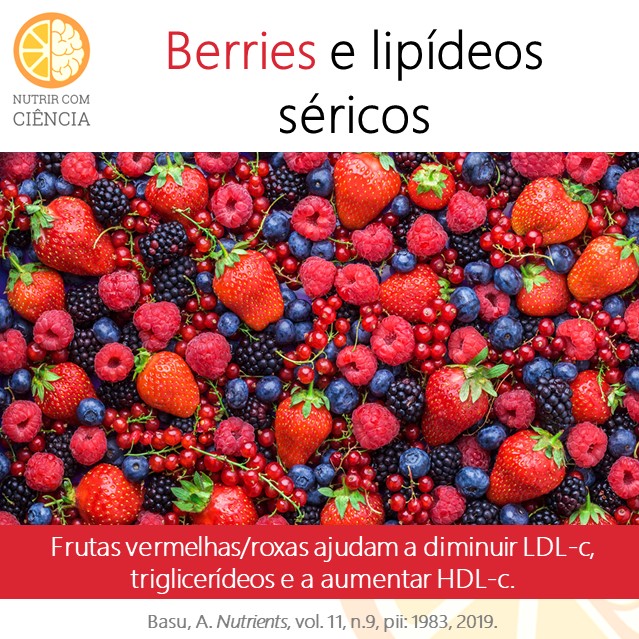 Post 322 - berry e lipideo serico site