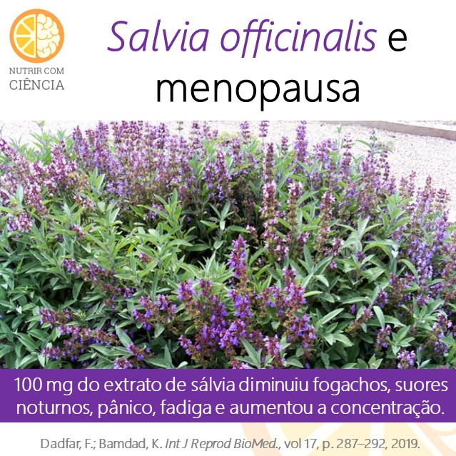 Salvia e menopausa