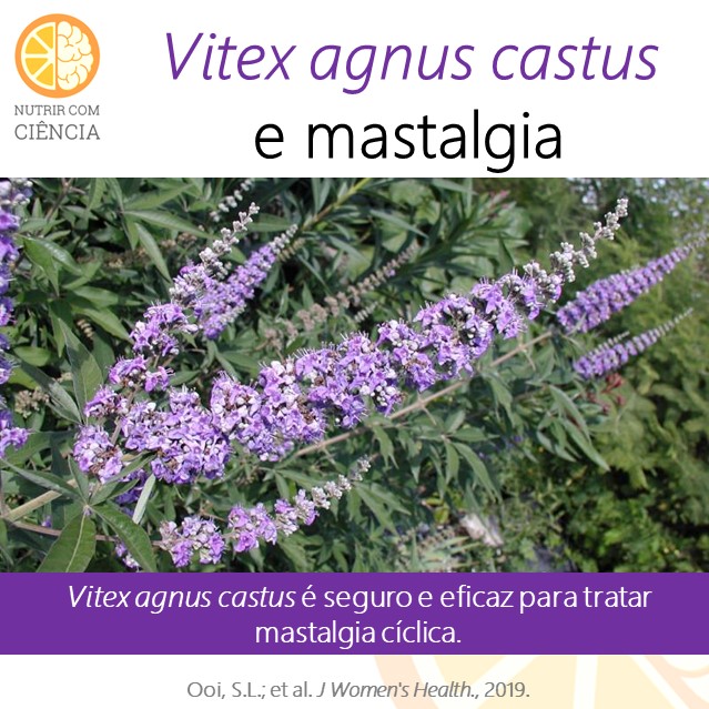 Vitex e mastalgia