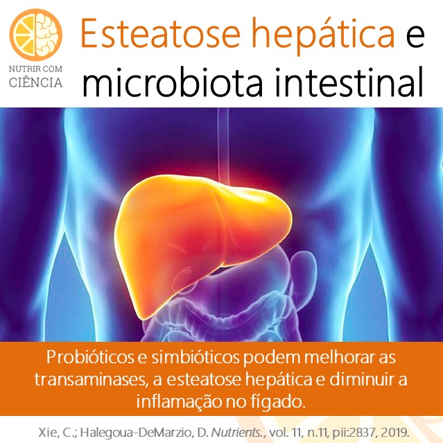 Esteatose hepática e microbiota