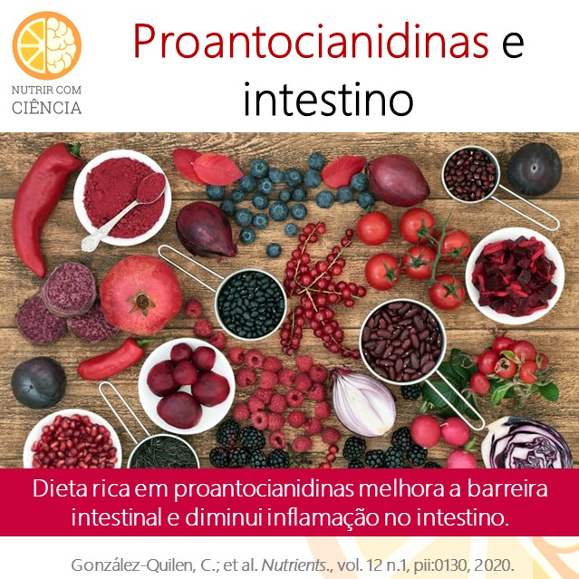 Proantocianidina e intestino