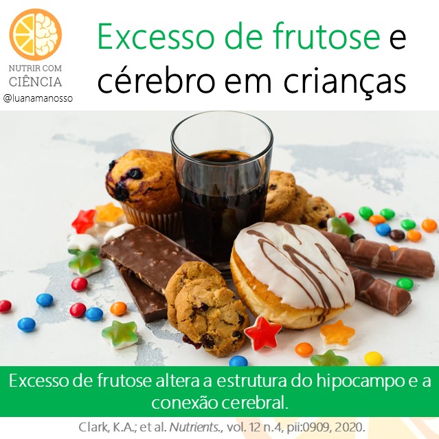 Post 390 - frutose e cerebro site.jpg.