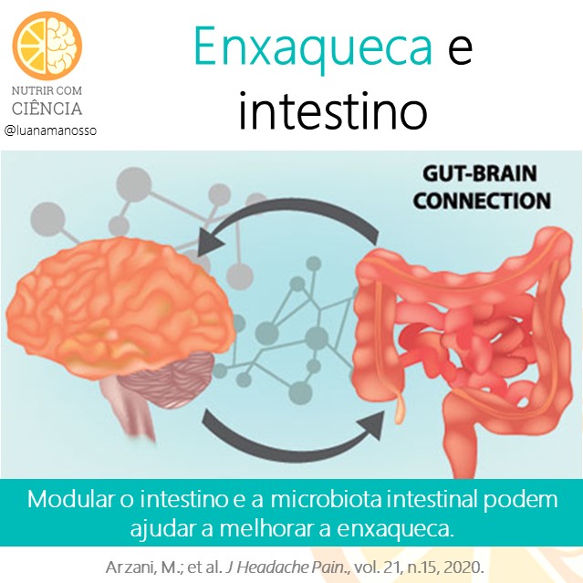 Post 405 - enxaqueca e intestino site