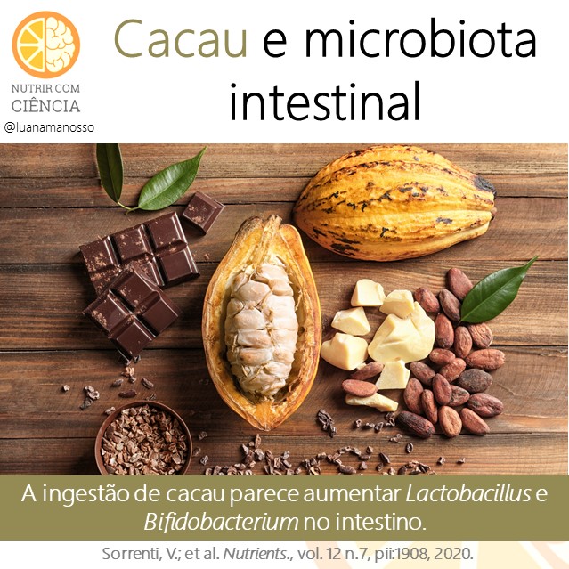 Post 416 - cacau e microbiota site