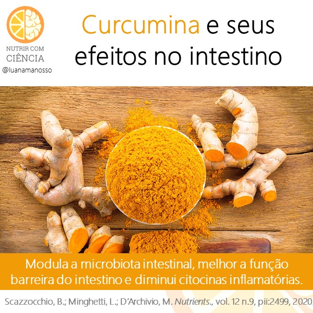 Post 426 - curcumina e intestino site