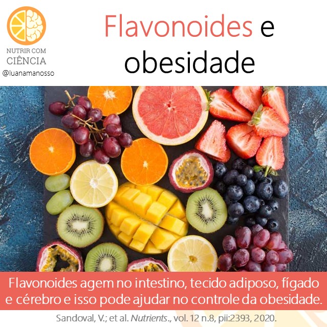 Post 430 - flavonoides e obesidade site