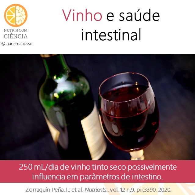 Vinho e intestino