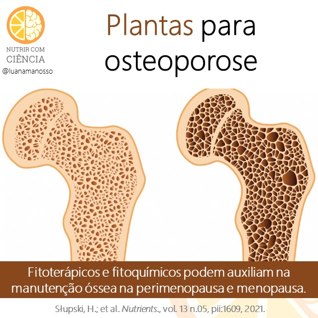 Post 504 - plantas para osteoporose site