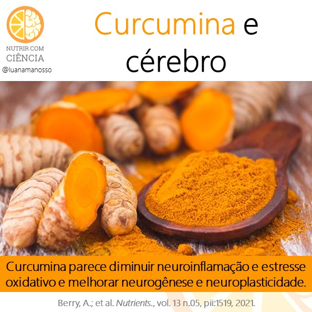 Post 510 - curcumina e cerebro site